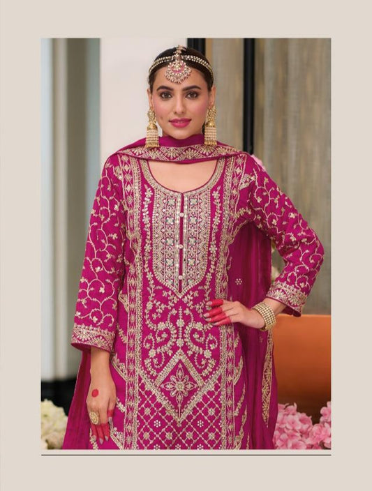 Rich Magenta Punjabi Suit with embroidery work.