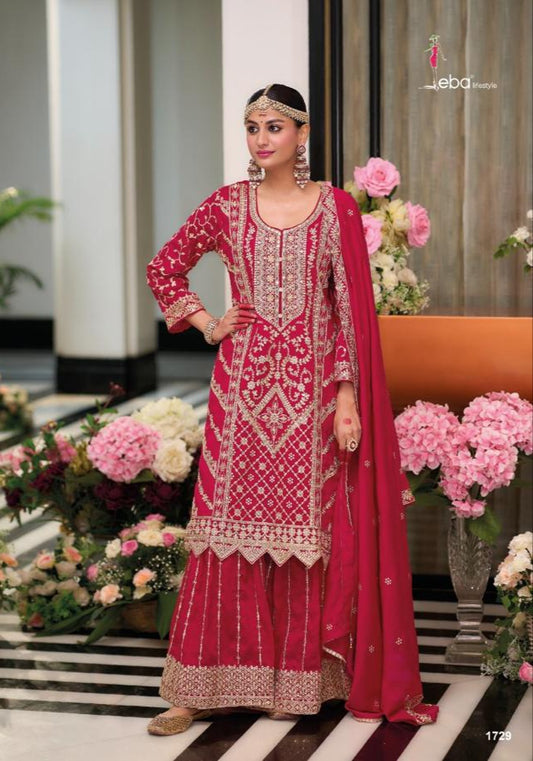 Red punjabi salwar suit with intricate embroidery work.
