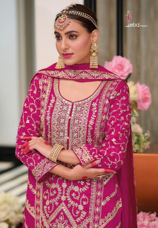 Rich Magenta Punjabi Suit with embroidery work.